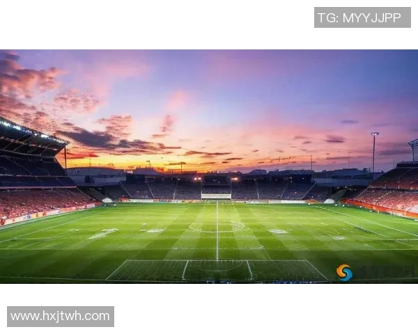 足球某某:探索足球世界的魅力与激情,感受绿茵场上的传奇与梦想